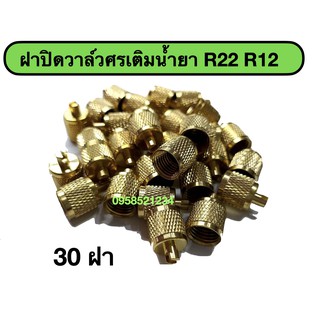 ฝาปิดวาล์วศร R22 R12 (1ชุด มี 30 ฝา)