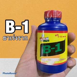 ยาเร่งราก B-1 extra เร่งราก ราคาถูกที่สุด