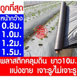 พลาสติกคลุมดิน ยาว10 เมตร พลาสติกคลุมแปลง พลาสติกดำ/เงิน พลาสติกคลุมวัชพืช พลาสติกดำเงิน กันวัชพืช ปลูกผัก ปลูกผลไม้