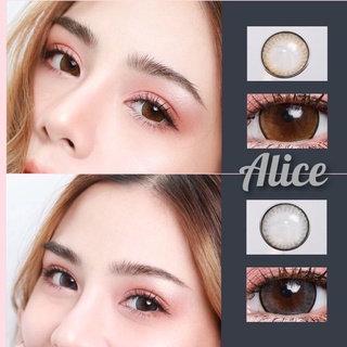 ❤️ Alice สี Gray / Brown : Lovely soft คอนแทคเลนส์ ขนาด บิ๊กอาย ตาโต