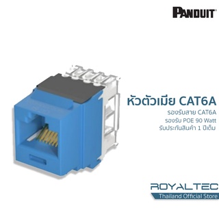 Panduit เต้ารับสายสัญญาณตัวเมีย CAT6A RJ45 ยี่ห้อ Panduit Modular Jack