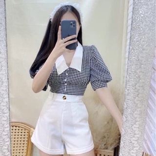 🤍Musthave🤍 เสื้อชิโนริคอปก