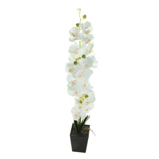 ต้นกล้วยไม้ประดิษฐ์90 ซม. สีขาว ARTIFICIAL ORCHID LALA HOME 90CM WHITE