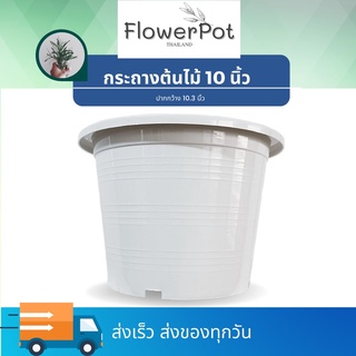 (จำนวน 1ใบ) กระถางต้นไม้สีขาว 10 นิ้ว กระถางต้นไม้ สีขาว ครีม  กระถางพลาสติก กระถางมินิมอล