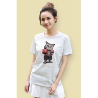 เสื้อยืดลายแมวเทา ใส่นวมชก น่ารัก คละไซส์ พร้อมส่ง