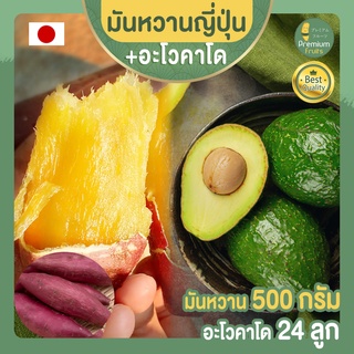 มันหวานญี่ปุ่น เบนิฮารุกะ 500 g  + อะโวคาโด 24 ลูก AVOCADO HASS AUSTRALIA  มันญี่ปุ่น  อะโวคาโด้ อะโวคาโดสด มันหวาน