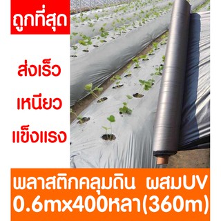 พลาสติกคลุมดิน 0.6ม.x400หลา(360ม) พลาสติกคลุมแปลง พลาสติกดำ/เงิน พลาสติกกันวัชพืช กันวัชพืช ปลูกผัก ปลูกผลไม้(ไม่เจาะรู)