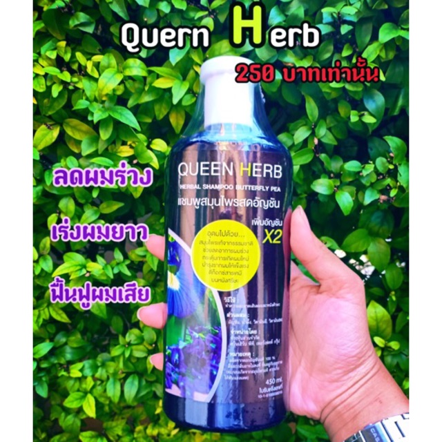 แชมพูสมุนไพรสดอัญชัน Queen Herb