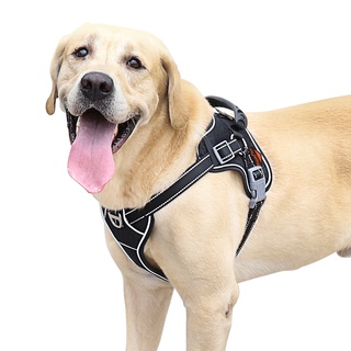 BINGOPAW สายรัดสุนัขป้องกันการดึงสุนัขขนาดใหญ่ปรับได้ Large Dog Harness Adjustable Reflective Training Walk Dog Vest