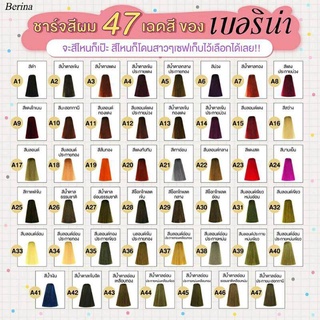 ครีมย้อมผมเบอริน่า Berina hair color 60ml. A1-A47