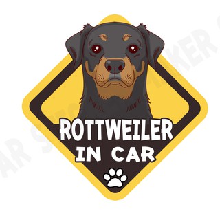 สติกเกอร์ติดรถ สติ๊กเกอร์ติดรถยนต์ สติกเกอร์หมา DGA163  Rottweiler dog