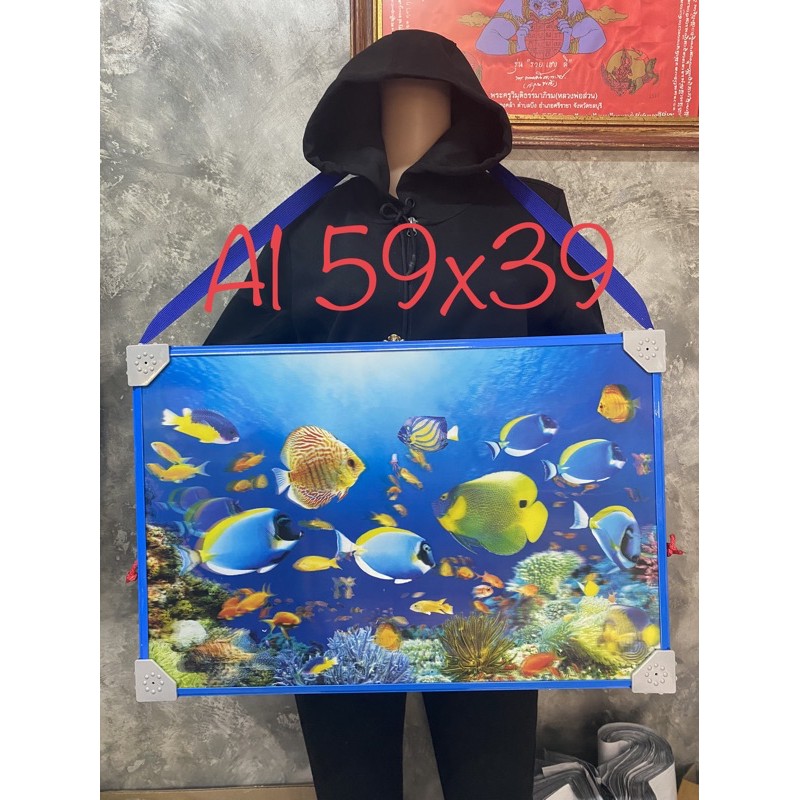 แผงลอตเตอรี่ ขนาด 59x39cm ใส่ได้ 500 ใบ ฟรีหัวสี 100ใบ