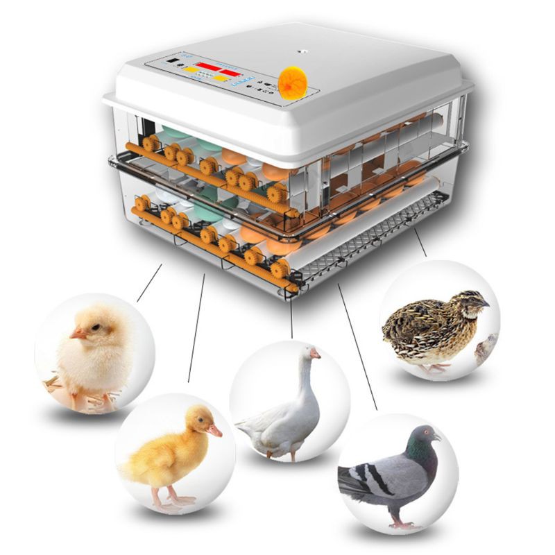 ตู้ฟักไข่อัตโนมัติ 220V/12V เครื่องฟักไข่ สำหรับไก่/เป็ด/นก
