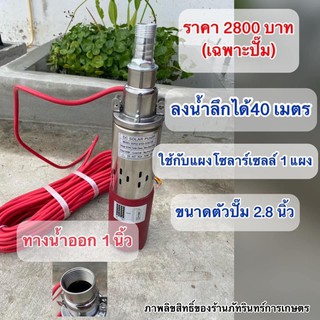 ปั้มซัมเมิส300w ต่อตรงแผงโซลาร์เซลล์ 1 แผง ดูดลึก40 เมตร