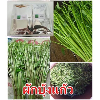 ซื้อ 3 แถม 1 เมล็ดผักบุ้งแก้วจำนวน1500เม็ด/ซอง  (พร้อมคู่มือการปลูก ..)