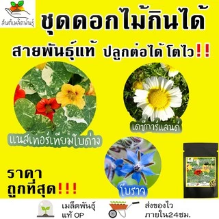 เมล็ดพันธุ์ ชุดดอกไม้กินได้ สายพันธุ์แท้ ปลูกต่อได้ พร้อมส่ง คอร์นฟลาวเวอร์/คาเลนดูล่า/ไวโอล่าสามสี/ความรักในสายหมอก