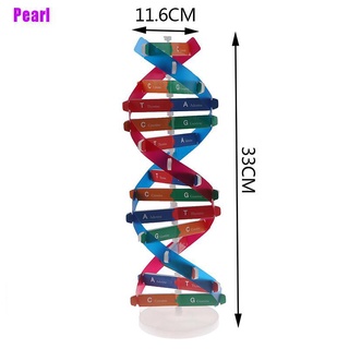 [ไข่มุก] โมเดลรุ่น Dna Double Helix ของเล่นเสริมการเรียนรู้วิทยาศาสตร์