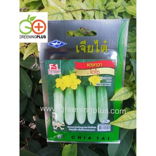 แตงกวา ไฮโซ (CUCUMBER HISO) เจียไต๋