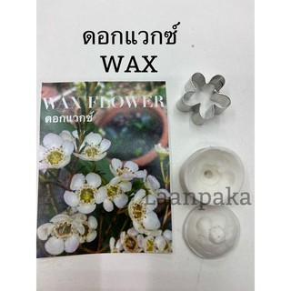 พิมพ์ดอกแวกซ์,ซิลิโคนดอกแวกซ์,คลาสออนไลน์ฟรี