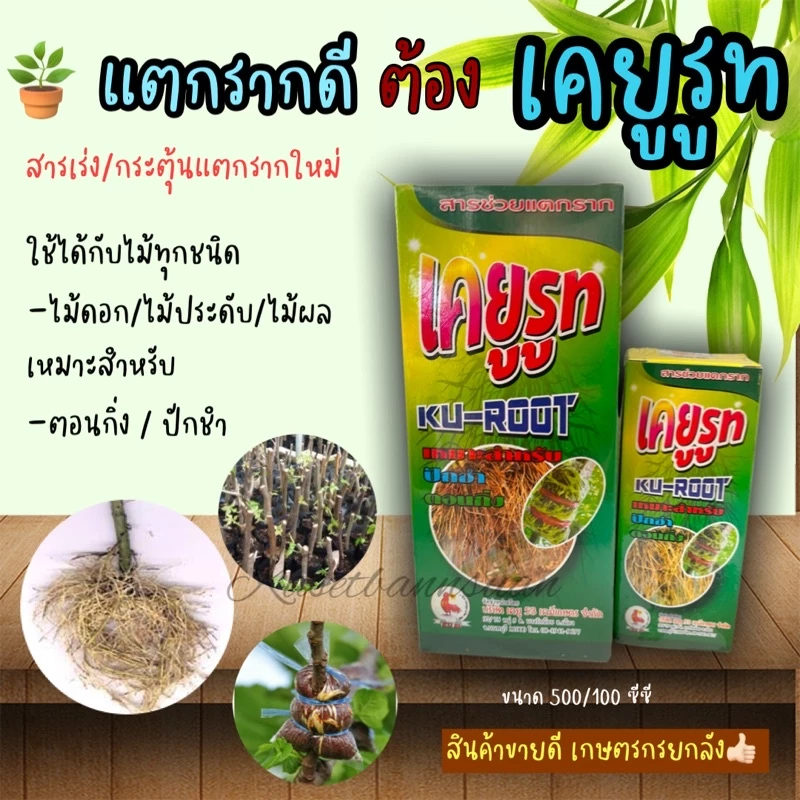🌱เคยูรูท ยาตอนกิ่ง ปักชำ น้ำยาเร่งราก ช่วยแตกราก รากออกดี