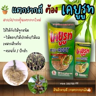 🌱เคยูรูท ยาตอนกิ่ง ปักชำ น้ำยาเร่งราก ช่วยแตกราก รากออกดี