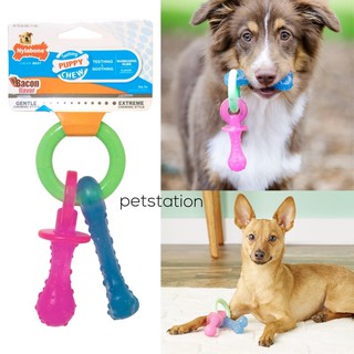 Nylabone Gentle Chew ของเล่นขัดฟัน