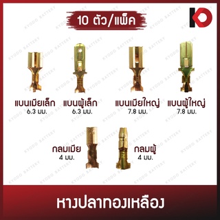 (10 ตัว/แพ็ค) หางปลาทองเหลืองแท้ หางปลาแบนผู้ / หางปลาแบนเมีย (ตัวเล็ก/ตัวใหญ่) / หางปลากลมผู้ / หางปลากลมเมีย