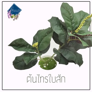 (พร้อมส่งทั้งกระถาง+หิน)ต้นไม้ปลอมFiddle-leaf fig หรือต้นไทรใบสัก สูง 54CM.