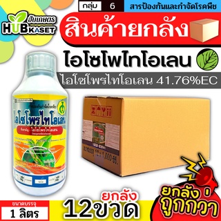 💥💥 สินค้ายกลัง 💥💥 ไอโซโพไทโอเลน 1ลิตร*12ขวด (ไอโซโพรไทโอเลน) ป้องกันโรคไหม้ในนาข้าว ขอบใบแห้ง