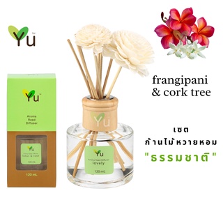 🌟🎁 ก้านไม้หอม 120 ml. กลิ่น Frangipani &amp; Cork Tree ดอกลีลาวดีแดง &amp; ดอกปีบ กลิ่นหอมหวานคลาสสิค หอมละมุนนุ่มลึก โดดเด่นมีเ