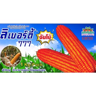 1กก. เมล็ดพันธุ์ ข้าวโพดอาหารสัตว์ ลิเบอร์ตี้ 777 (จัมโบ้) ข้าวโพดไก่ ลิเบอร์ตี้ จัมโบ้ ลิเบอร์ตี้จัมโบ้