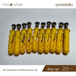 พุก-สกรู 1 แพ็ค (10ชุด)