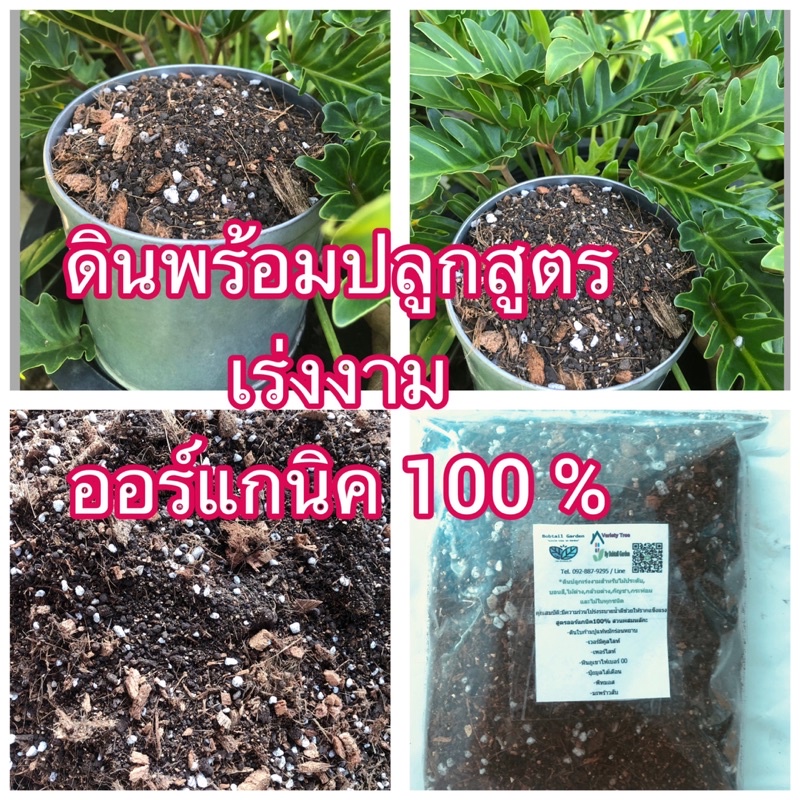 ดินพร้อมปลูกเร่งงาม สำหรับ ไม้ใบต บอนสี และพืชทุกชนิด สูตรสำเร็จพร้อมใช้
