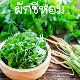ผักสวนครัว📌10แถม1!!📌ถูกที่สุด 9 บ.📌เมล็ดพันธุ์ผักสวนครัว 5-500 เมล็ด🌿 ขายดีที่สุด🌱งอกง่าย🌱มีคู่มือการปลูก [10 แถม 1]