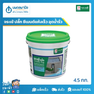 จระเข้ ปลั๊ก ซีเมนต์แห้งเร็ว อุดน้ำรั่ว ซีเมนต์ผสมเสร็จ ขนาด 4.5 กก. สีเทา | ซีเมนต์ผสมเสร็จ