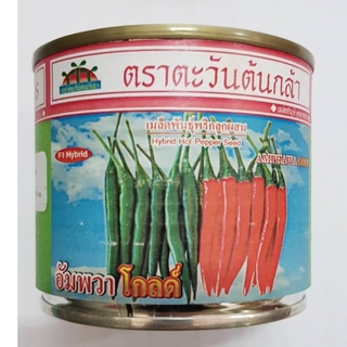 เมล็ดพันธุ์พริกลูกผสม อัมพวาโกลด์ Amahawa Gold (20g) ตรา ตะวันต้นกล้า