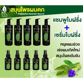 ขายส่ง 10ขวด แชมพูใบฝรั่ง 5 ขวด + เซรั่มใบฝรั่งปลูกผม 5ขวด ปลูกผมดก หยุดผมร่วง ชลอหงอก