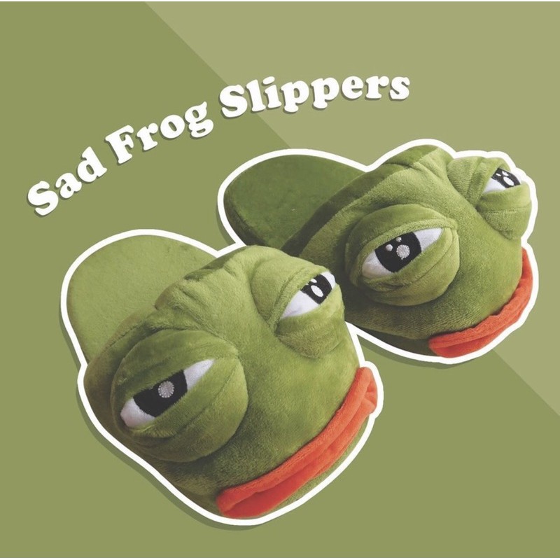 Sad Frog Slippers สลิปเปอร์กบหน้าเศร้าตาจะปิด
