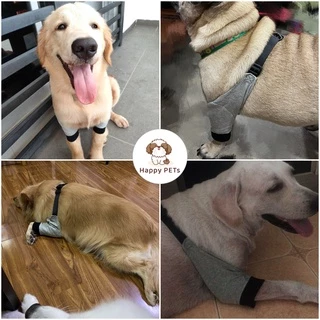 Happy PETs สนับศอกสุนัข สนับเข่าสุนัข ป้องกันศอกด้าน รองศอก ป้องการการเสียดสีกับพื้น DogLemi