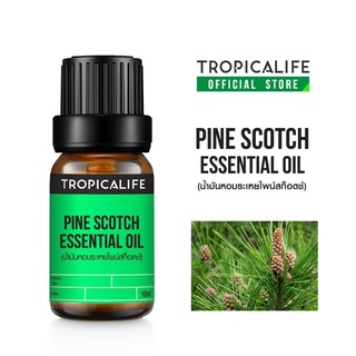 น้ำมันหอมระเหยไพน์ สก็อตช์ PINE SCOTCH ESSENTIAL OIL ปริมาณ 10 Ml