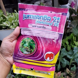 เมทาแลกซิล สารป้องกันกำจัดโรคพืช ขนาด 100 กรัม โรคใบไหม้ เน่าดำ จุดดำ