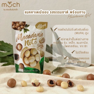 แมคคาเดเมียอบ รสธรรมชาติ Macadamia Nuts Much by สวนส้มร่มเกล้า
