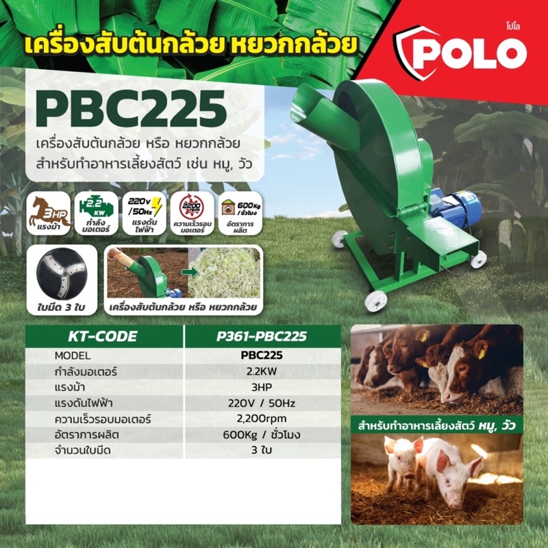 เครื่องสับหญ้าเนเปียร์ โปโล (POLO) รุ่น PGC225 มอเตอร์ 2.2 KW อัตราการผลิต 600 กก./ชม.ใช้สำหรับสับหญ้าเลี้ยงสัตว์