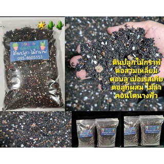 ดินปลูกไม้กราฟ(แคคตัส) ( 1 kg.) ตอสามเหลี่ยม ตอลูกผสม ตอหนามดำ ตอบลู ตอเปอเรสเกีย ตออื่นๆไม้ลำขนาดใหญ่คอนโดนางฟ้า💯💯ขายดี