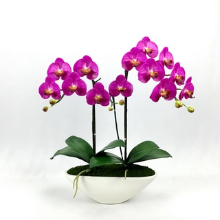 OrientalFineArt ดอกไม้แต่งบ้าน กล้วยไม้ปลอม Phalaenopsis ในกระถางเซรามิคขาว ทรงเรือสไตล์โมเดิร์น (AM-10-W)