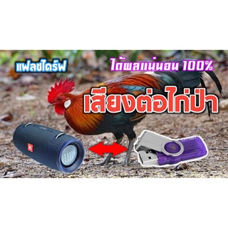 แฟลชไดร์ฟเสียงต่อไก่ป่า ยี่ห้อ Kingston ขนาด 4 gb ความยาว 8 ชั่วโมง เสียงชัด ได้ผลแน่นอน