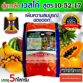 5 กิโลกรัม WESCO ปุ๋ย 10-52-17 +TE(ธาตุรองเสริม) ปุ๋ยเกล็ด ปุ๋ยเกร็ด เวสโก้ เพิ่มความสมบูรณ์ของดอก