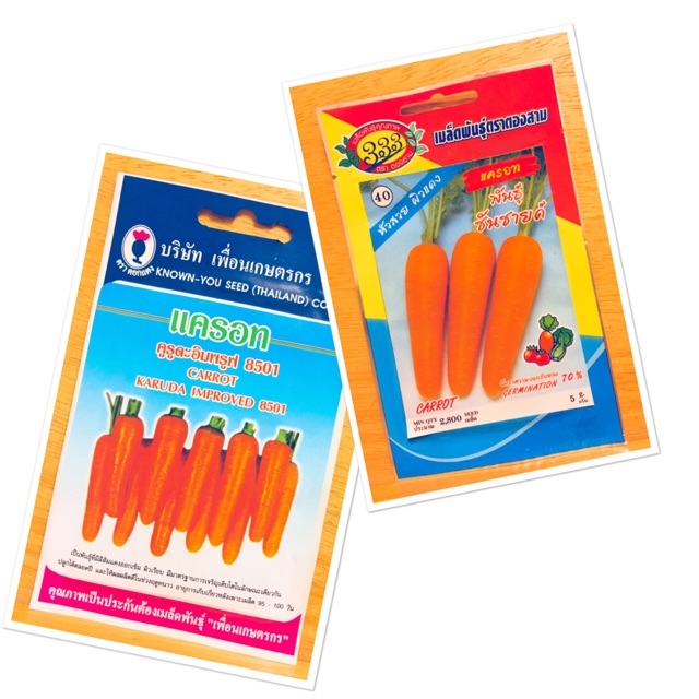 เมล็ดพันธุ์แครอท เบบี้แครอท carrot seed