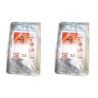 Bignet ผ้าใบอเนกประสงค์ PEสีบรอนซ์เงิน 4ม.x6ม 2ผืน