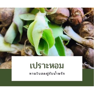 เปราะหอมทานได้สรรพคุณ 108